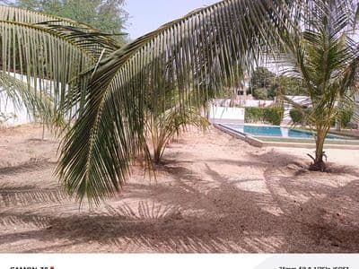 Villa Warang — photo 21