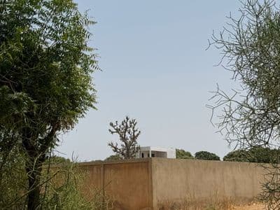Terrain 300 m² à Warang — Lotissement de 20 parcelles