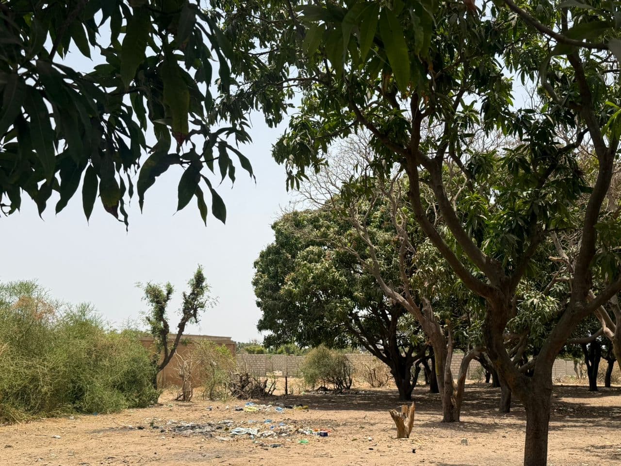 Terrain 300 m² à Warang — Lotissement de 20 parcelles