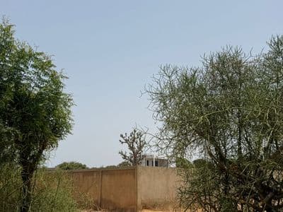 Terrain 300 m² à Warang — Lotissement de 20 parcelles