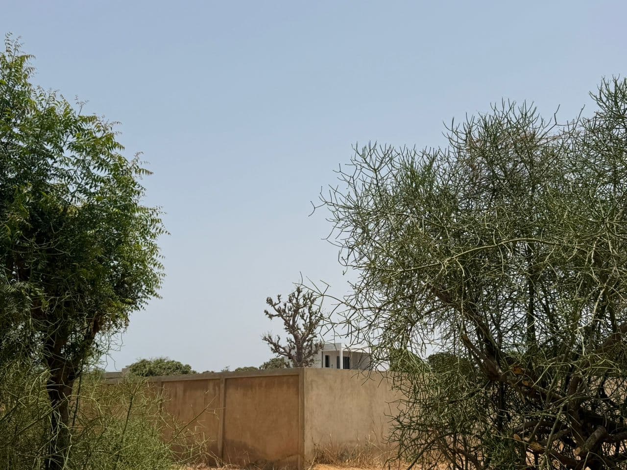 Terrain 300 m² à Warang — Lotissement de 20 parcelles