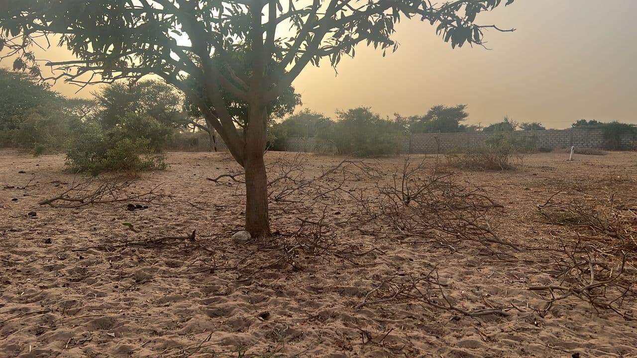 Terrain de 300 m² à Malicounda — Keur Malick Ba