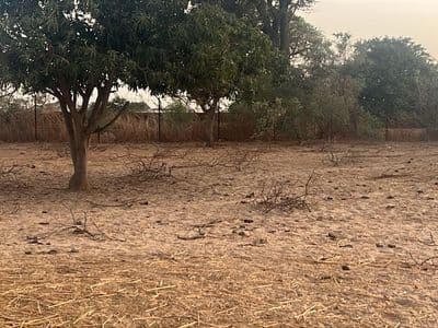 Terrain de 300 m² à Malicounda — Keur Malick Ba