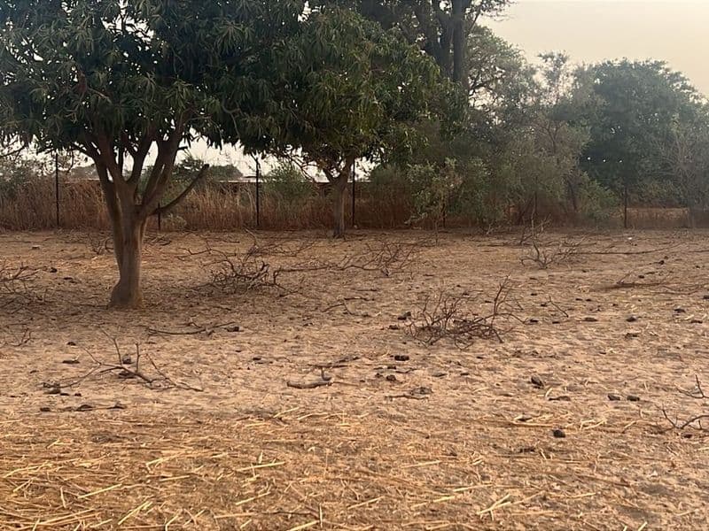 Terrain de 300 m² à Malicounda — Keur Malick Ba