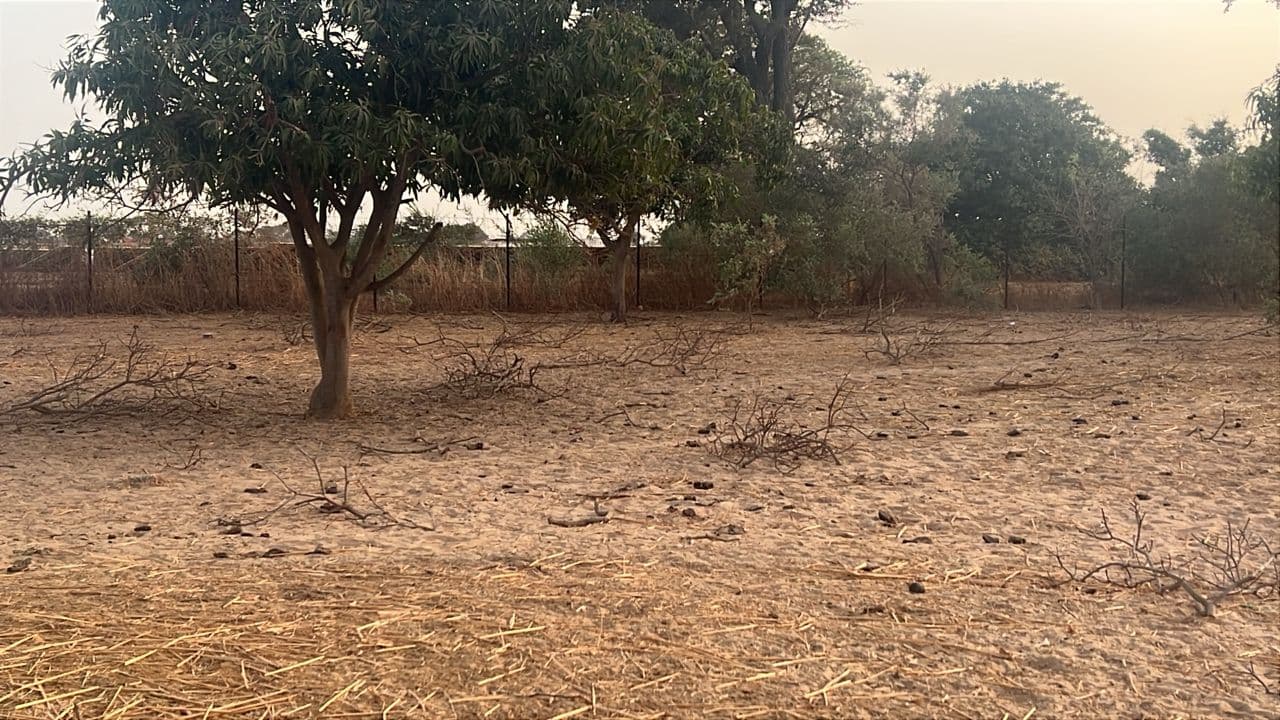 Terrain de 300 m² à Malicounda — Keur Malick Ba