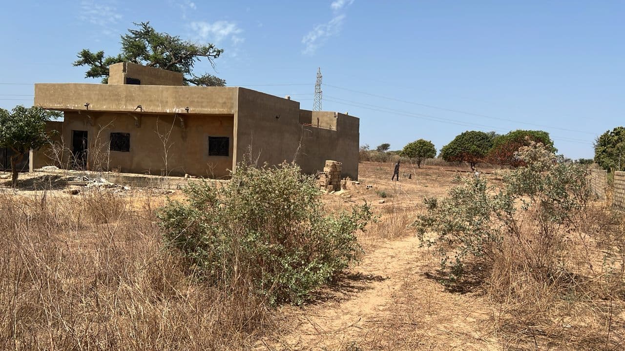 Parcelle de 233 m² à Malicounda — Keur Masseïb