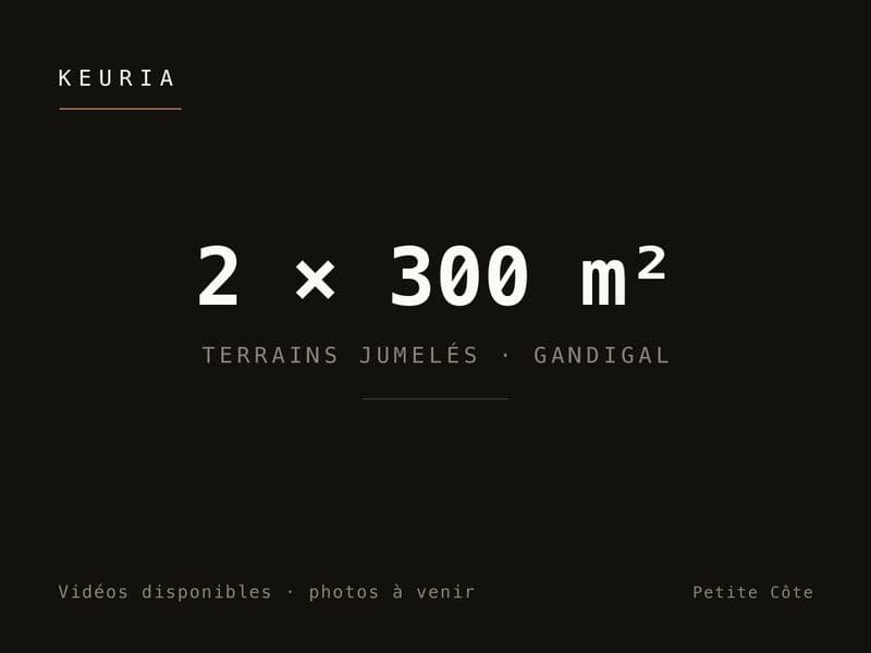 2 terrains jumelés de 300 m² à Gandigal — côté Malicounda
